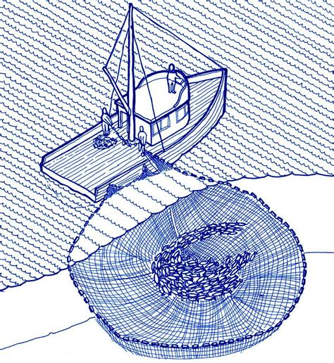sas fishing|fishing with a seine net :: Ships At Sea General Discussions.